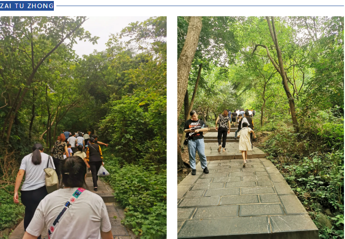 【動(dòng)態(tài)】認(rèn)真工作，快樂(lè)生活——智恒信科技六周年登山活動(dòng)圓滿(mǎn)落幕